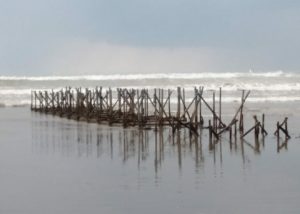 jika tidak ada respon dari Perusahaan Tambak Udang,Warga akan melakukan aksi demo