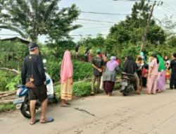 Pembangunan Kandang Ayam di Desa Junti, diprotes Warga sekitar