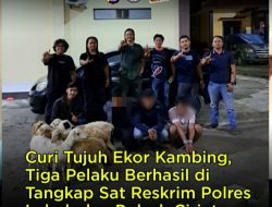 Kawanan Pencuri Ternak berhasil diamankan Sat Reskrim Polres Lebak dan Polsek Cirinten