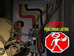 Dinilai Tak Tegas PLN Ke PT Arindo Pratama selaku vendor, Aktivis Baksel Angkat Bicara