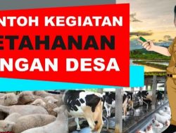 Rentan Penyalahgunaan Anggaran, Program Ketahanan Pangan Desa di Kabupaten Lebak Agar Segera di Evaluasi