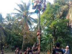 Lomba Panjat Pinang Meriahkan HUT Kemerdekaan RI ke 78 di Kampung Pada Suka