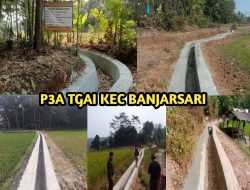 Lima titik Program P3TGAI di  kecamatan banjarsari di apresiasi para petani