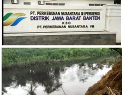 PTPN III KSO VIII harus Bertanggung Jawab atas Cemari Sungai Ciliman.DLH Harus tindak Tegas