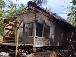 Miris… Rumah Nenek Junaeni Seorang Janda Ketimpa Pohon Kelapa, Pemilik Pohon Tidak Ada Basa-basi