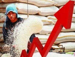 Ngeri!!!… Begini Dampak Kenaikan Harga Beras Jika Tak Segera Diatasi