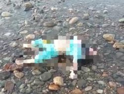 Gempar Penemuan Mayat Bocah Perempuan, di Muara Sungai Cihara