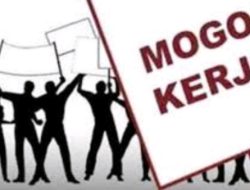 Perangkat Desa dan Semua Stakeholder Desa Kerta Mogok Kerja, Pelayanan Masyarakat Lumpuh Total