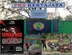 Petani Sawit Harap Aksi di PKS Kertajaya Berjalan Kondusif, Perjuangkan Hak tanpa Ganggu Operasional
