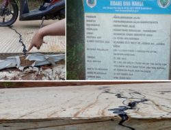 Aktivis Soroti Retaknya Jalan Sukahujan–Cigemblong, Dinas PUPR Diminta Bertindak