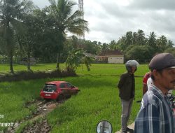 Brio Merah Nyemplung ke Sawah di Malingping, Pemilik Sawah Sempat Protes