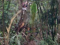 Jembatan gantung rapuh, Penyebab lima Pelajar SMP dan Tiga Kendaran terjun ke sungai