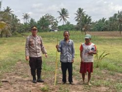 Polsek Malingping Manfaatkan Lahan Kosong Untuk Tanam Jagung Dukung Ketahanan Pangan
