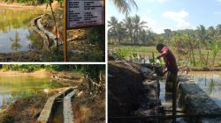 P3-TGAI Tanjung Indah Dorong Produktivitas Petani DI Cinapel Desa Kerta
