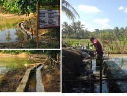 P3-TGAI Tanjung Indah Dorong Produktivitas Petani DI Cinapel Desa Kerta