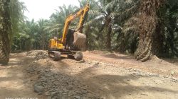 Tanpa Papan Informasi, Proyek Jalan Perkerasan dan Cor Beton di Kebun Kertajaya Afdeling 1 Disorot Publik