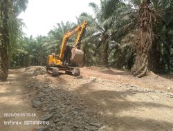 Tanpa Papan Informasi, Proyek Jalan Perkerasan dan Cor Beton di Kebun Kertajaya Afdeling 1 Disorot Publik